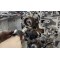 Hogedrukpomp tandwiel trekker voor 1.5L en 1.6L DV5 DV6 Fiat PSA Toyota vergelijkbaar met 9780GN 0194X EN52136